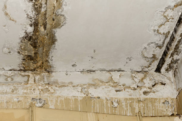 El Dorado Springs, MO Water damage restoration Company